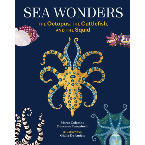 Chronicle Books Sea Wonders (inbunden, eng)