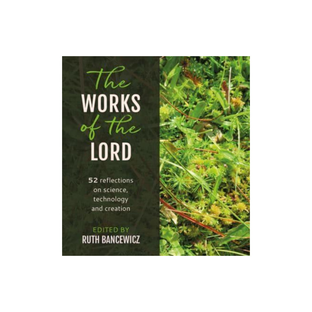 Produktbild för The Works of the Lord (häftad, eng)