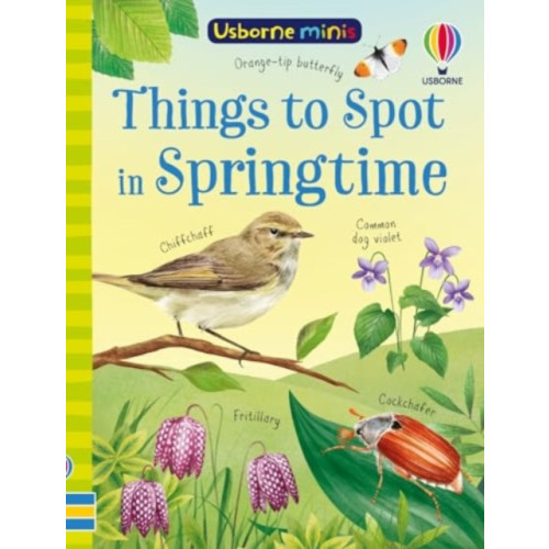 Usborne Publishing Ltd Things to Spot in Springtime (häftad, eng)