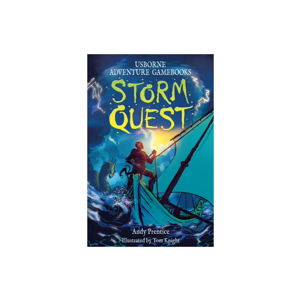 Produktbild för Storm Quest (häftad, eng)