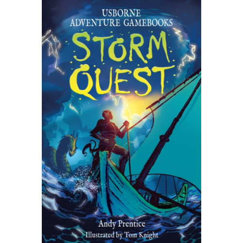 Usborne Publishing Ltd Storm Quest (häftad, eng)