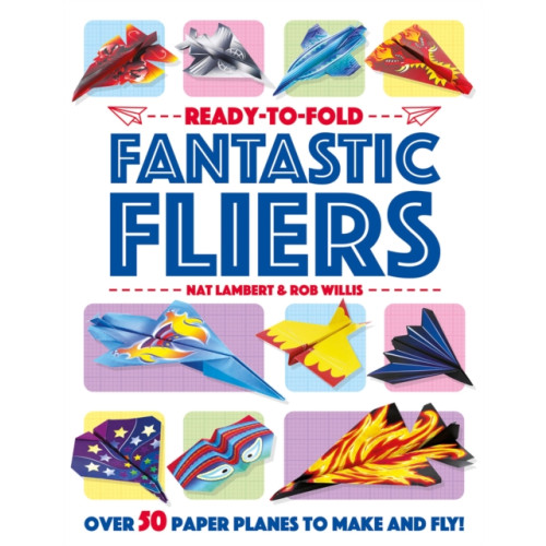 Gemini Books Group Ltd Fantastic Fliers (häftad, eng)