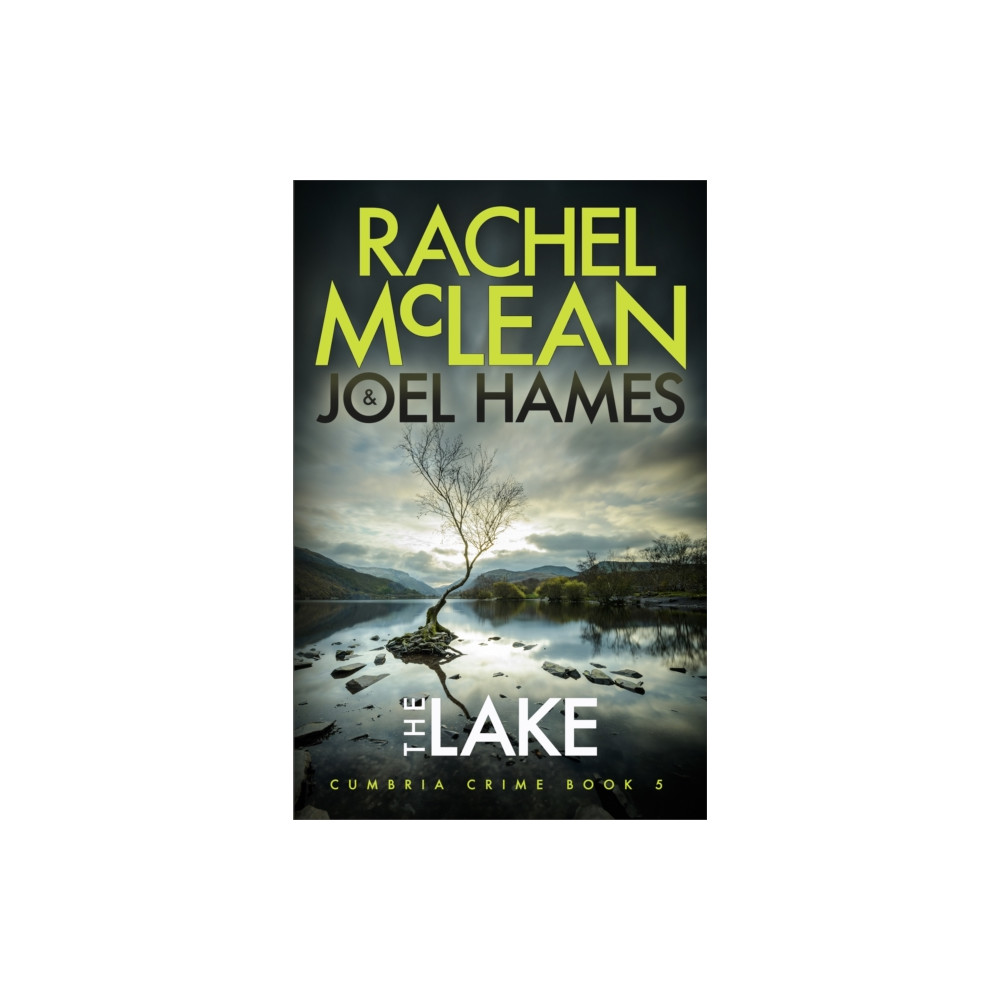 Produktbild för The Lake (häftad, eng)