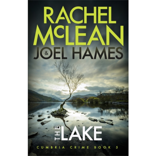 Ackroyd Publishing The Lake (häftad, eng)