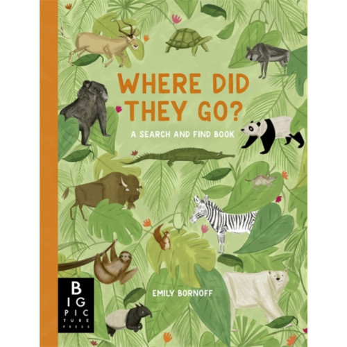 Bonnier Books Ltd Where Did They Go? (häftad, eng)
