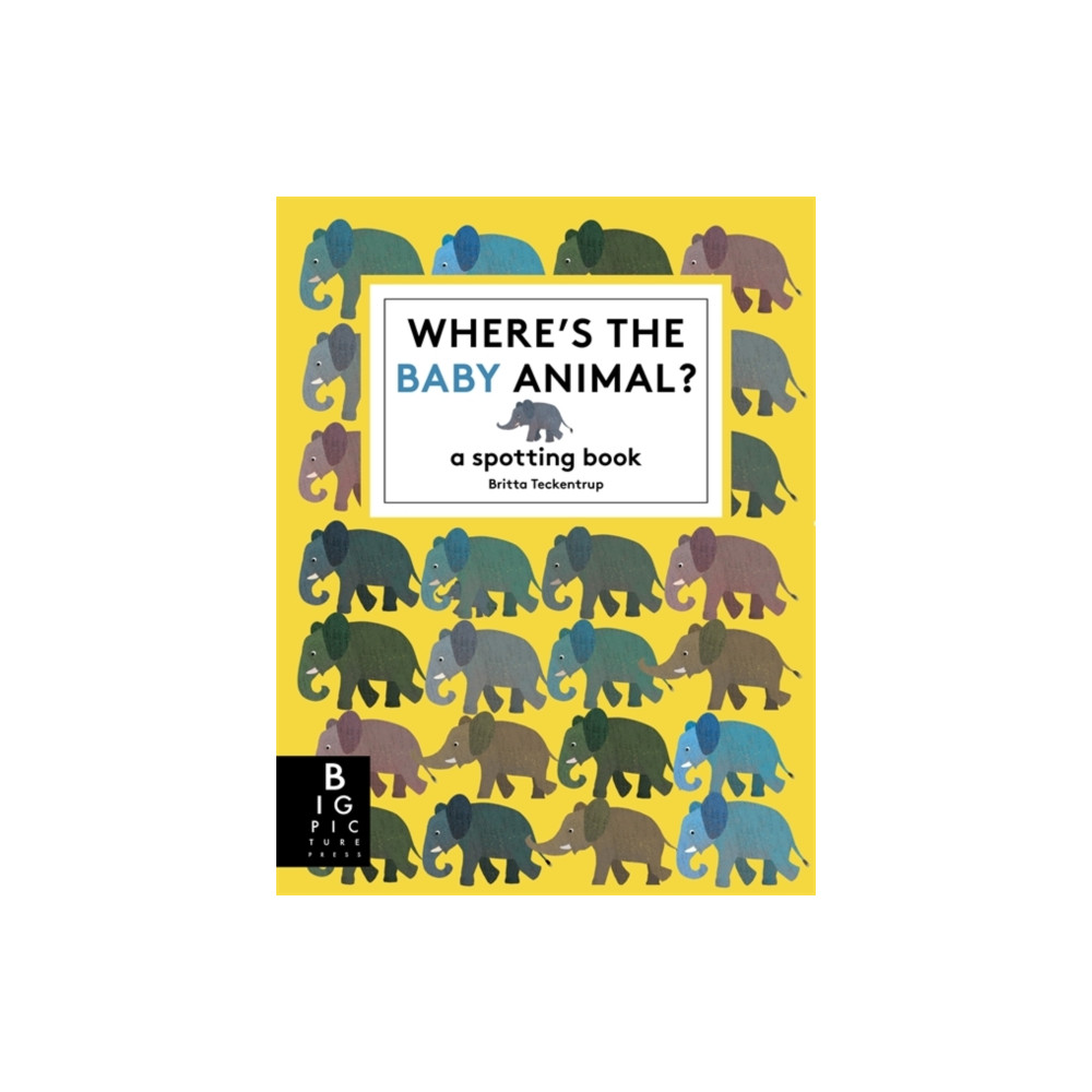 Produktbild för Where's the Baby Animal? (häftad, eng)