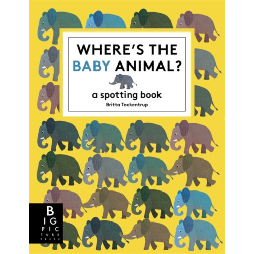 Bonnier Books Ltd Where's the Baby Animal? (häftad, eng)