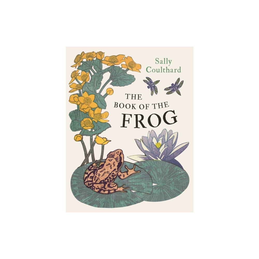 Produktbild för The Book of the Frog (häftad, eng)