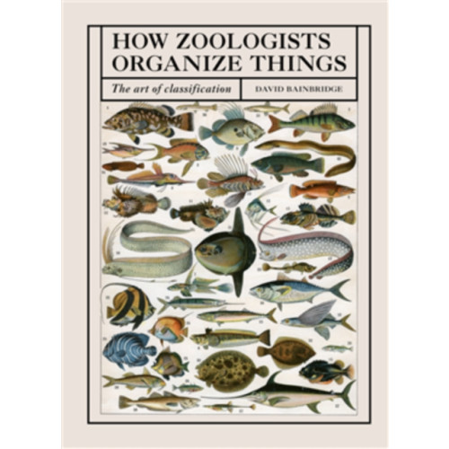 Quarto Publishing Plc How Zoologists Organize Things (häftad, eng)