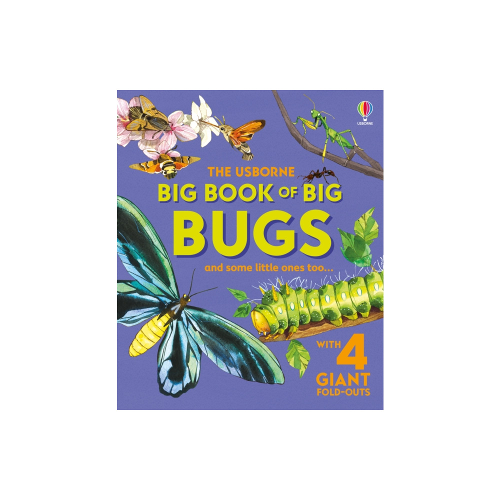 Produktbild för Big Book of Big Bugs (inbunden, eng)