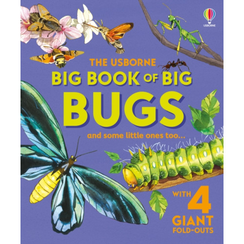 Usborne Publishing Ltd Big Book of Big Bugs (inbunden, eng)