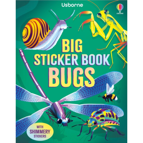 Usborne Publishing Ltd Big Sticker Book Bugs (häftad, eng)
