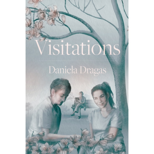 Troubador Publishing Visitations (inbunden, eng)