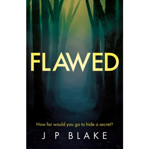 Troubador Publishing Flawed (häftad, eng)