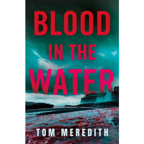 Troubador Publishing Blood in the Water (häftad, eng)