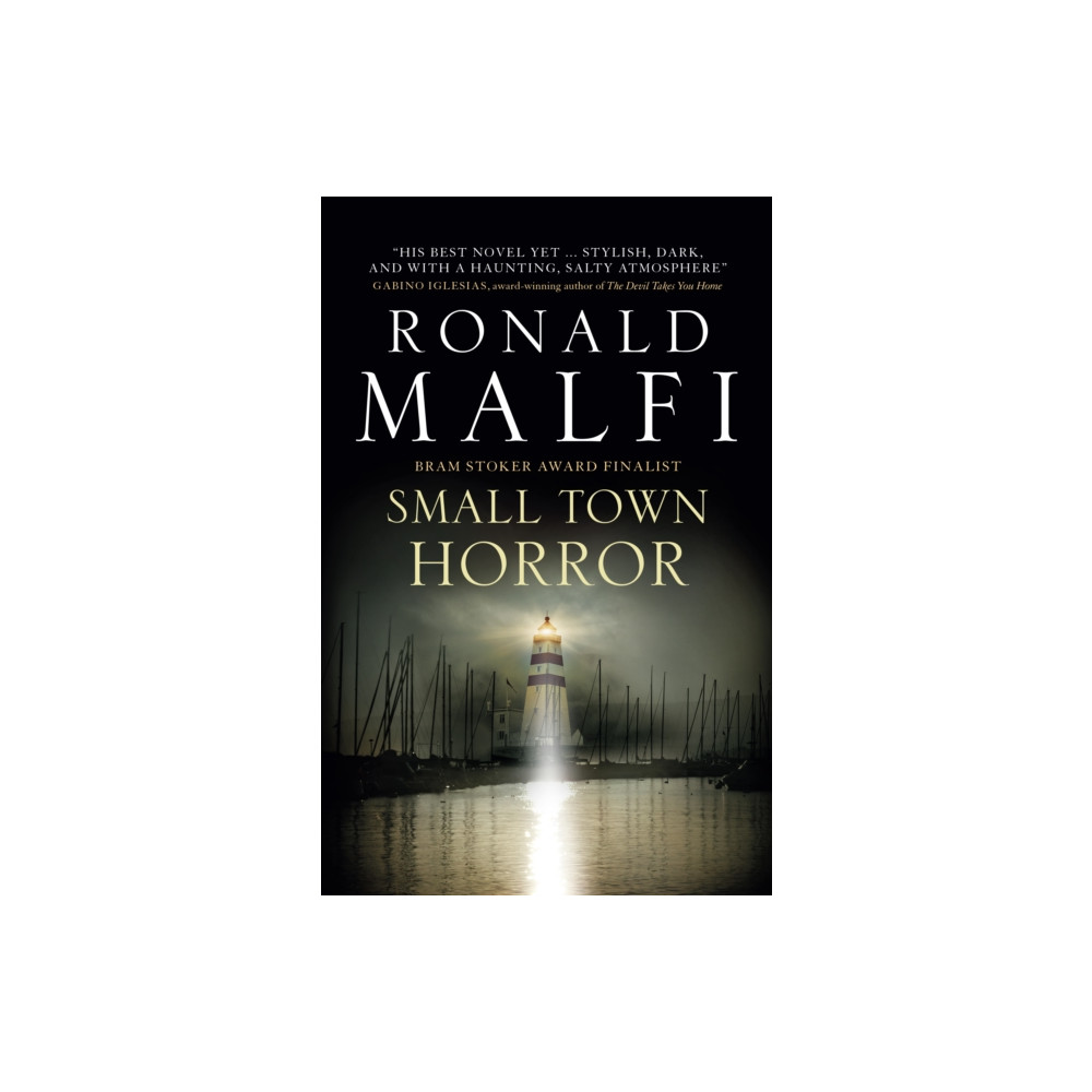 Produktbild för Small Town Horror (häftad, eng)