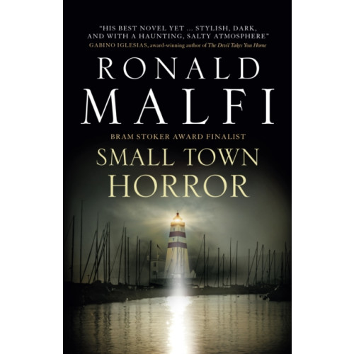 Titan Books Ltd Small Town Horror (häftad, eng)