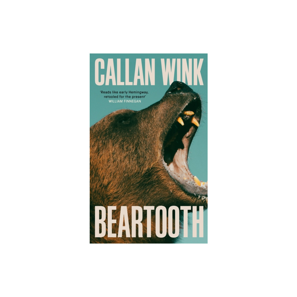 Produktbild för Beartooth (inbunden, eng)