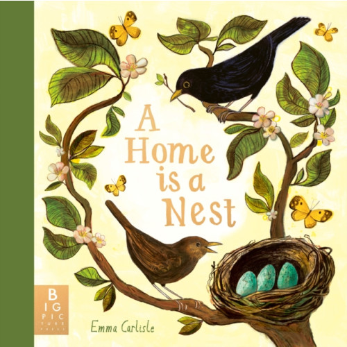Templar Books A Home is a Nest (inbunden, eng)