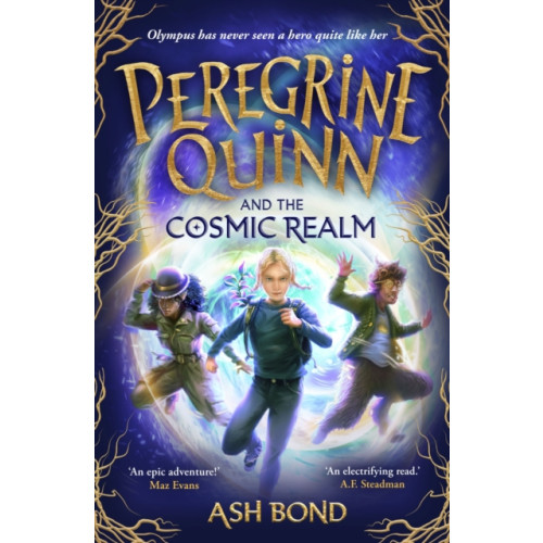 Templar Books Peregrine Quinn and the Cosmic Realm (häftad, eng)