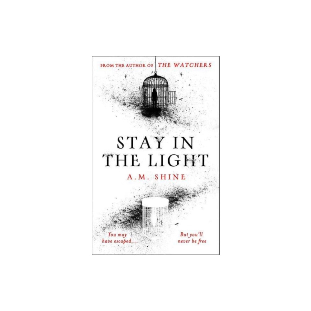 Produktbild för Stay in the Light (häftad, eng)