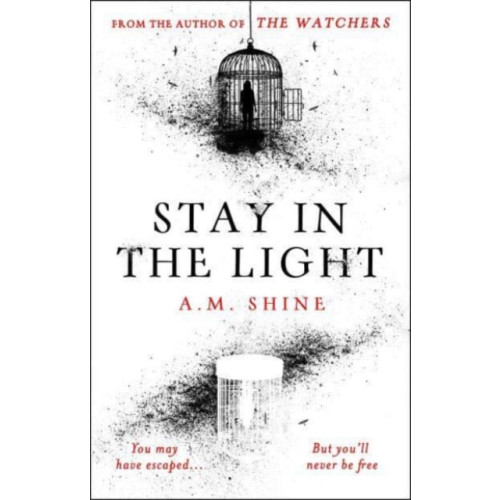 Bloomsbury Publishing PLC Stay in the Light (häftad, eng)
