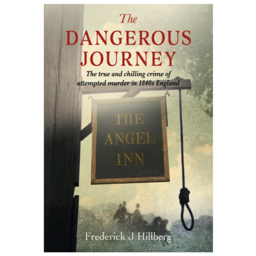 Brown Dog Books The Dangerous Journey (häftad, eng)
