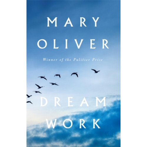 Atlantic Books Dream Work (inbunden, eng)
