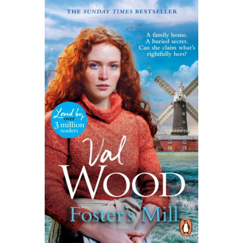 Transworld publishers ltd Foster's Mill (häftad, eng)