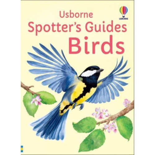 Usborne Publishing Ltd Spotter's Guides: Birds (häftad, eng)
