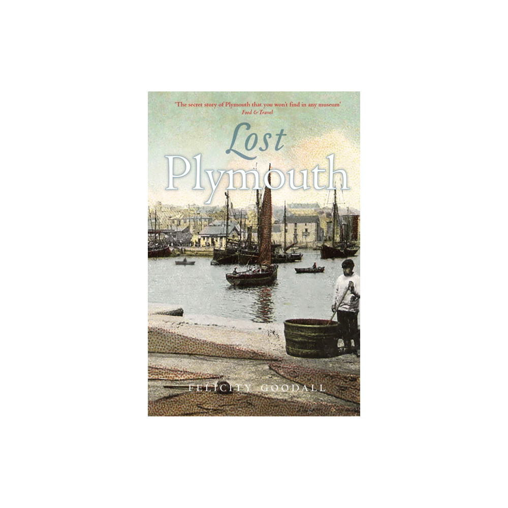 Produktbild för Lost Plymouth (häftad, eng)