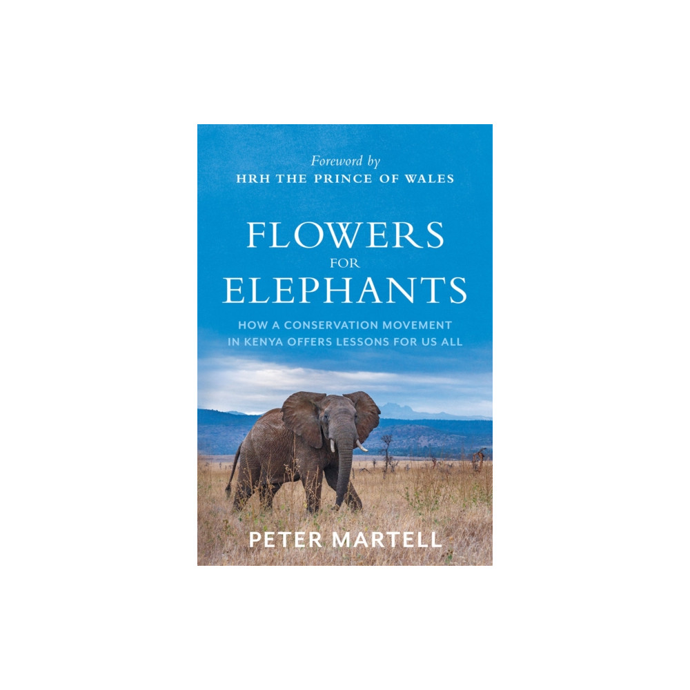 Produktbild för Flowers for Elephants (häftad, eng)