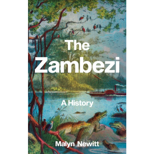 C hurst & co publishers ltd The Zambezi (häftad, eng)