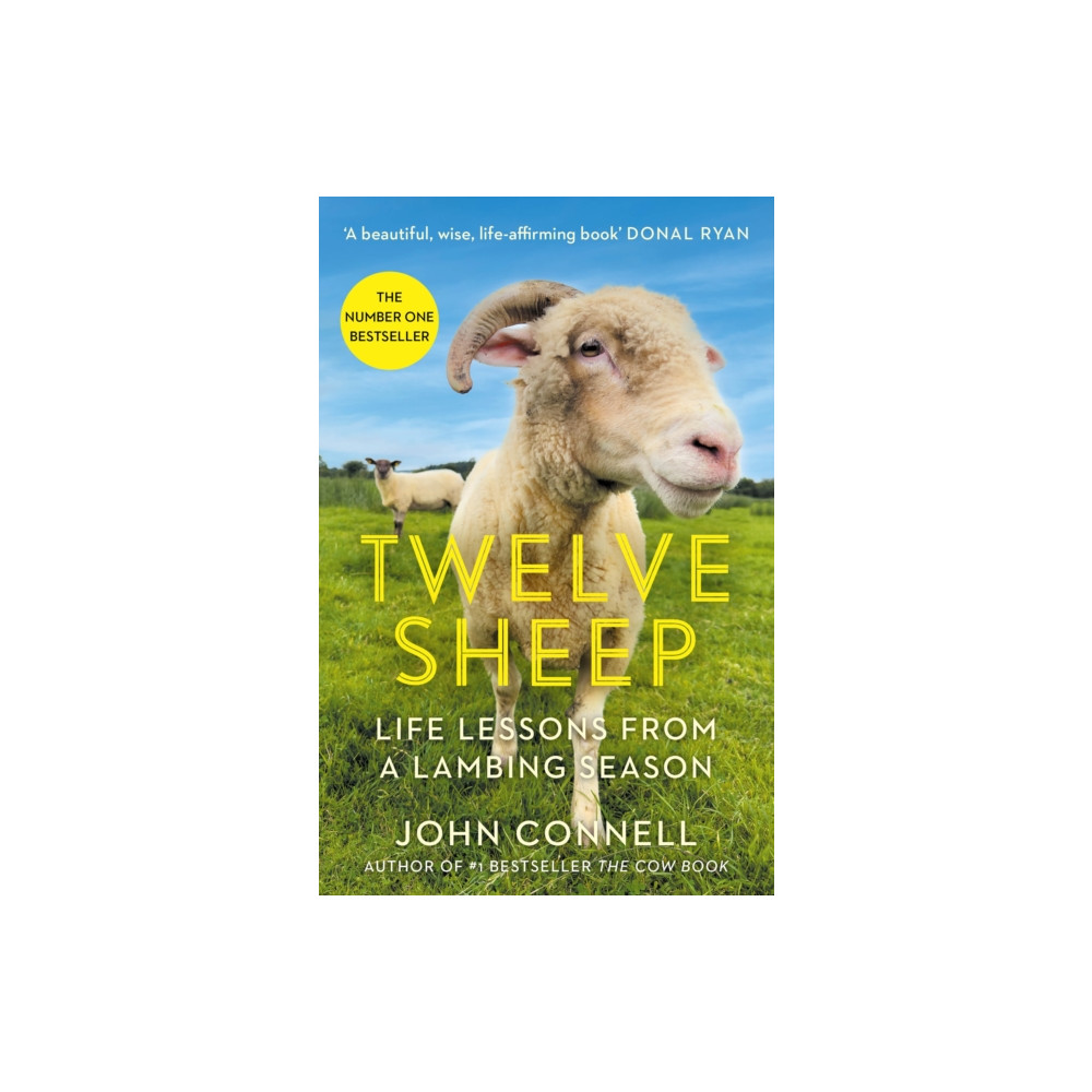 Produktbild för Twelve Sheep (häftad, eng)