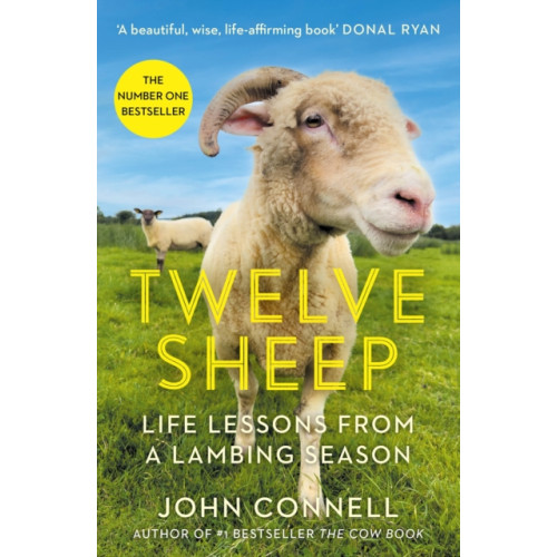 Atlantic Books Twelve Sheep (häftad, eng)