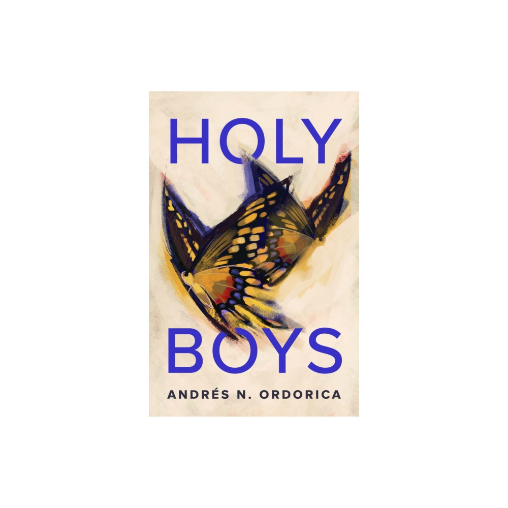 Produktbild för Holy Boys (häftad, eng)