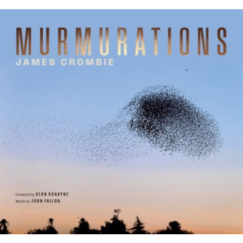 The Lilliput Press Ltd Murmurations (inbunden, eng)