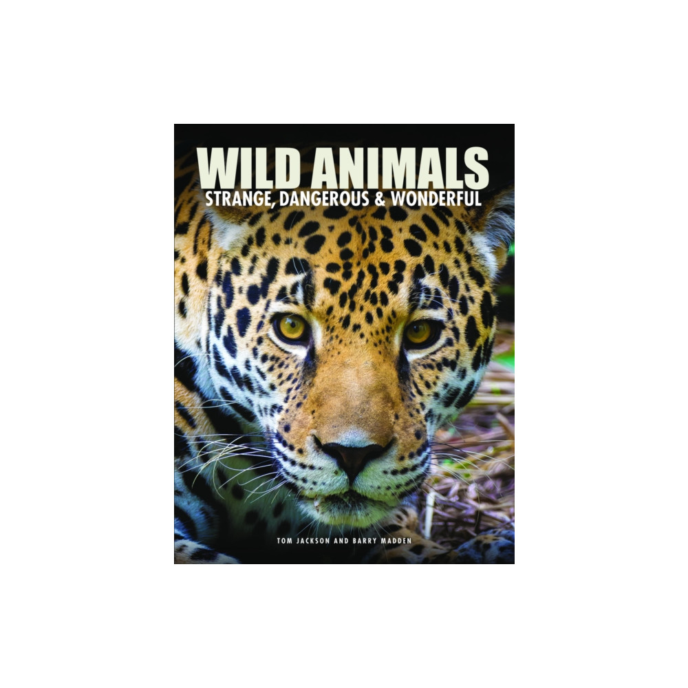 Produktbild för Wild Animals (inbunden, eng)