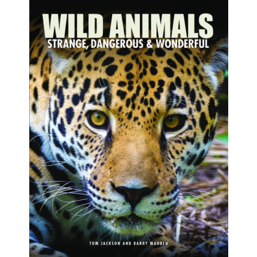 Amber Books Ltd Wild Animals (inbunden, eng)