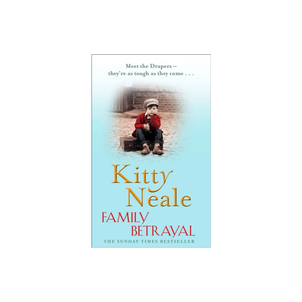 Produktbild för A Family Betrayal (häftad, eng)