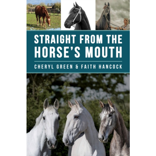 Quiller Publishing Ltd Straight From the Horse's Mouth (häftad, eng)