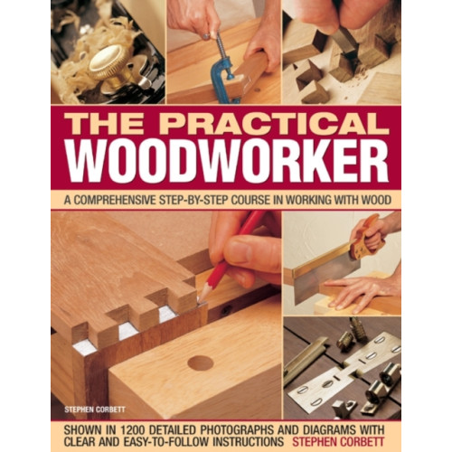 Anness publishing Practical Woodworker (häftad, eng)