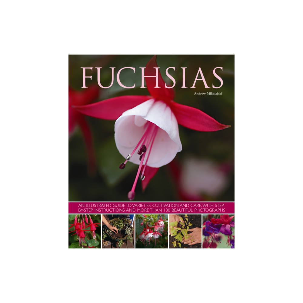 Produktbild för Fuchsias (häftad, eng)