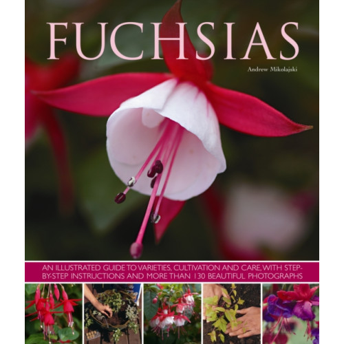 Anness publishing Fuchsias (häftad, eng)