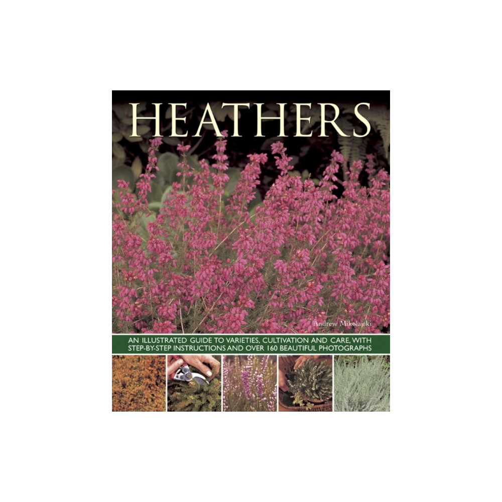 Produktbild för Heathers (häftad, eng)