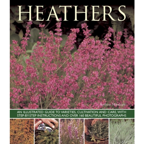 Anness publishing Heathers (häftad, eng)