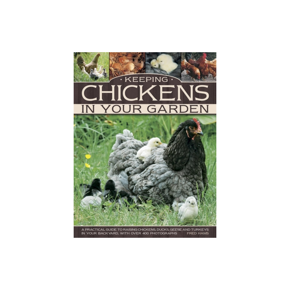 Produktbild för Keeping Chickens in Your Garden (häftad, eng)