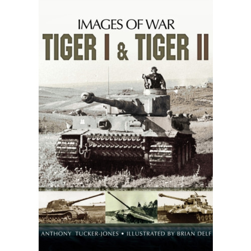 Pen & Sword Books Ltd Tiger I and Tiger II (häftad, eng)