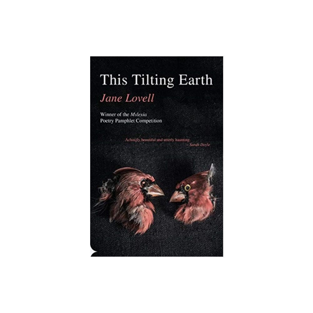 Produktbild för This Tilting Earth (häftad, eng)