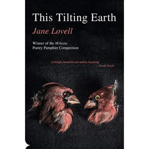Poetry Wales Press This Tilting Earth (häftad, eng)